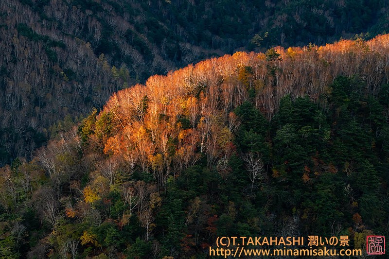 ../Images/7R251101 (9).jpg